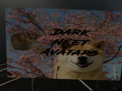 DarkNeet Avatars