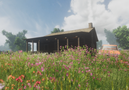 Calm Meadow
