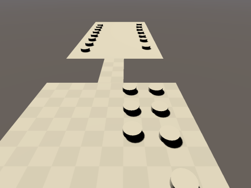 Poodery's and Racc's avatar world