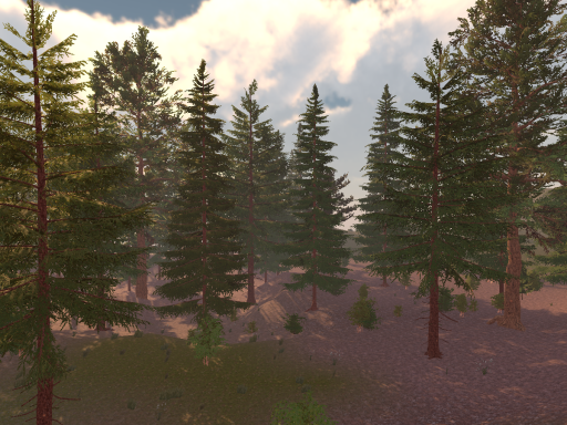Forest Camping