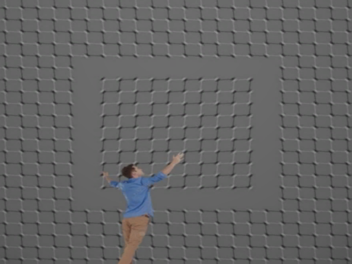 Faputa illusion