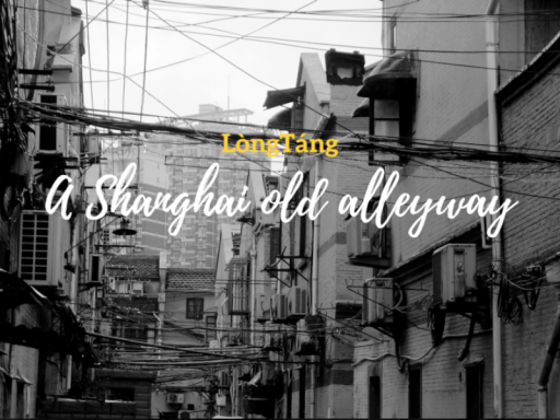ShangHai Old Alleyway （lòngtáng）