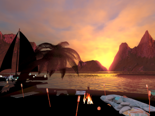 ooter oasis
