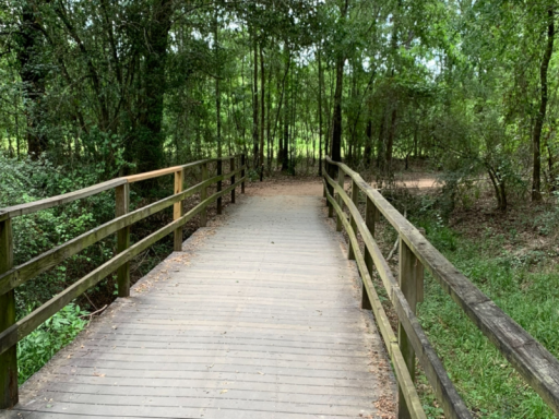 The Trails