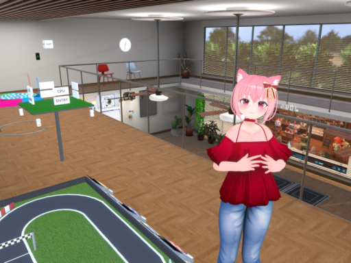 猫の集会所