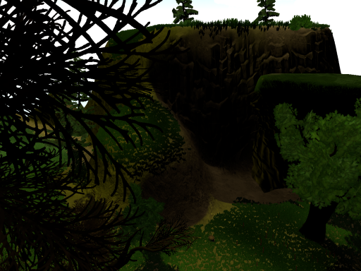 Forest