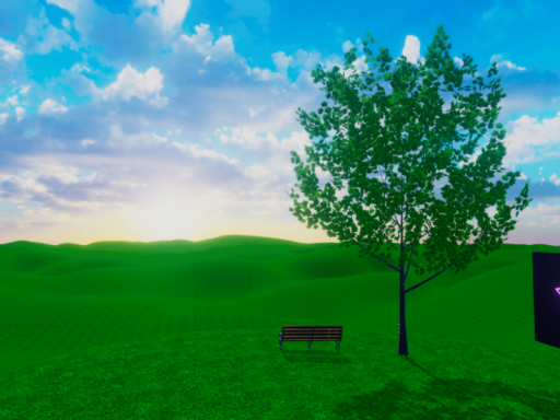a dream of a field