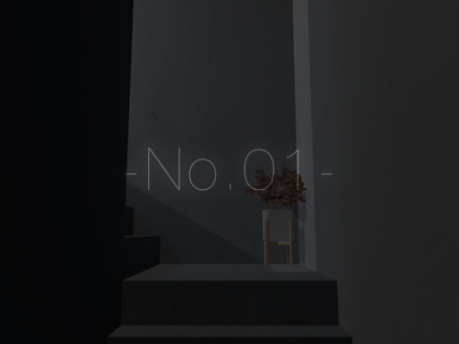 No․01