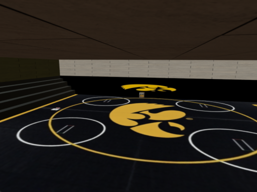 Vrchat Wrestling