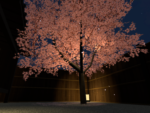 Japanese Home with Sakura