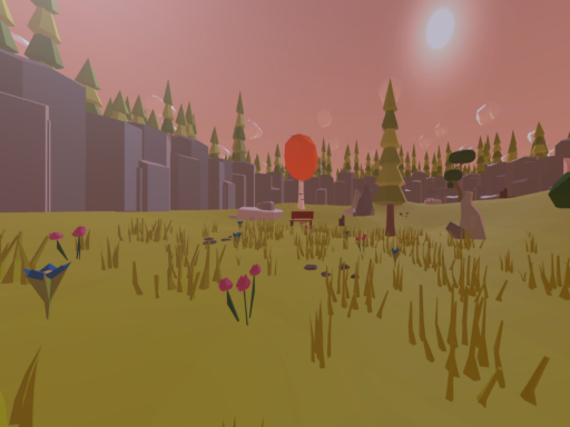 The Sunset Clearing