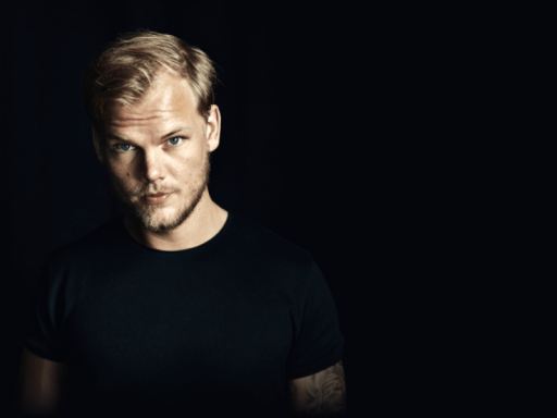 Avicii Tribute （2024 Version）