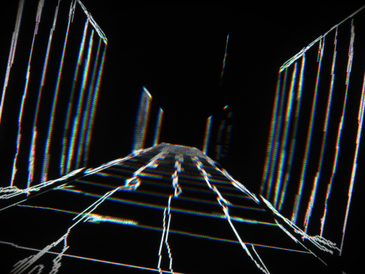 Hallucination