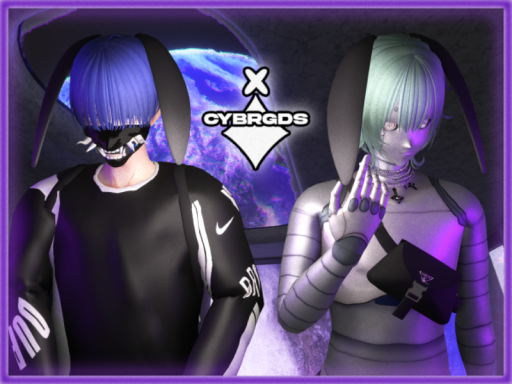 CYBRGDS Avatar World