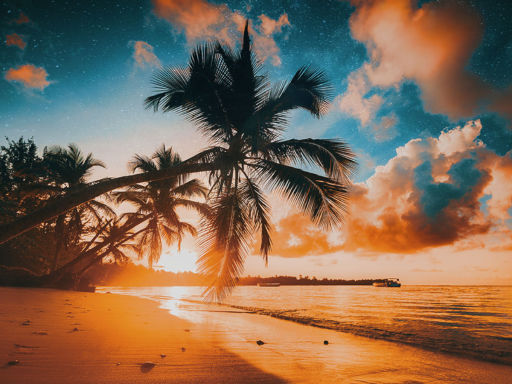 Tropical Island