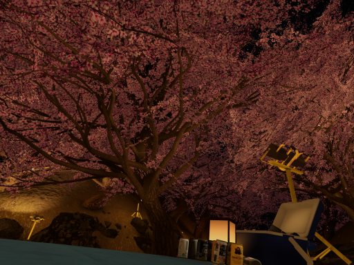 Sakura Blooming