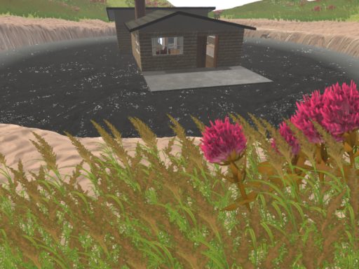 Cloudy Meadow