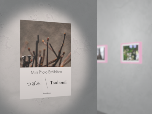 Mini photo exhibition ＂つぼみ ⁄ Tsubomi＂