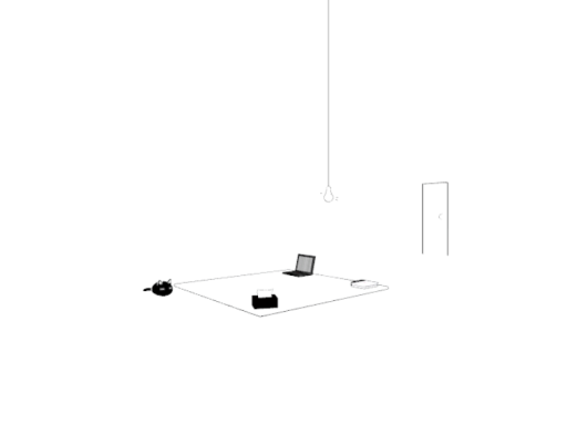 WhiteSpace