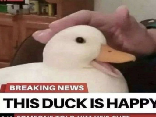 honks hangout